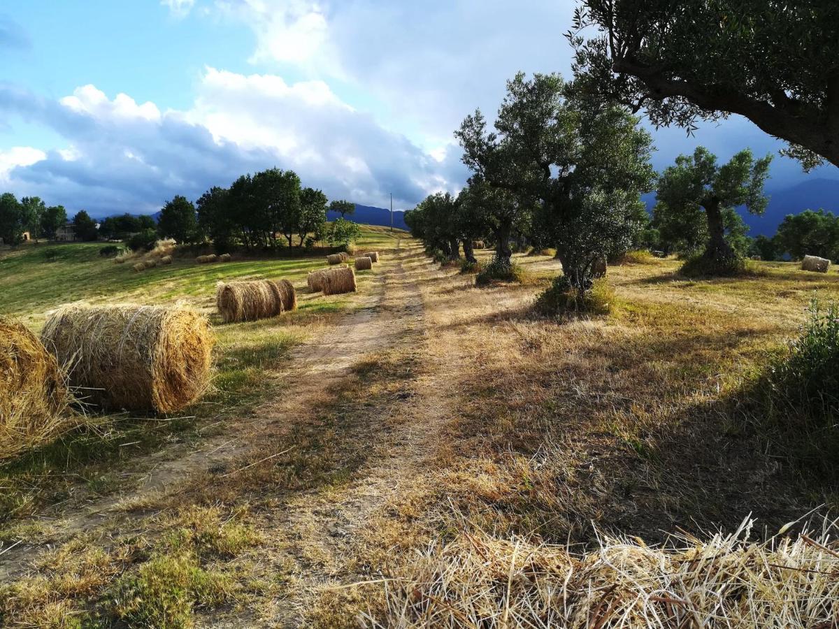 La Dimora Di Radha B&B Centro Olistico Ренде Экстерьер фото
