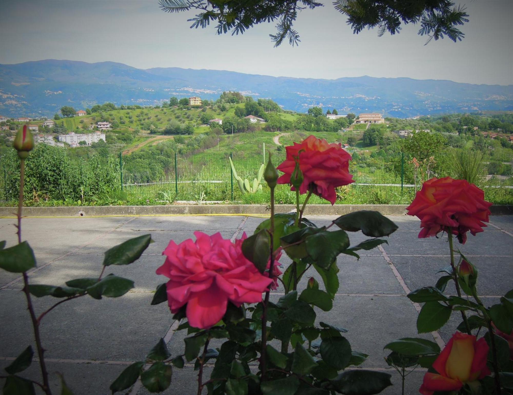 La Dimora Di Radha B&B Centro Olistico Ренде Экстерьер фото